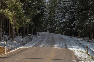 Snowy road in windfall area in Ceska Kanada in south Moravia