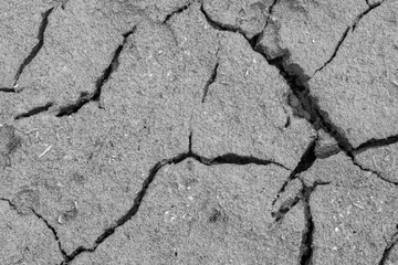 Cracked ground background in black and white tones. Dry cracked earth