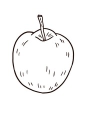 Apple. Coloring. Black and white digital illustration. Cute illustration for the decor and design of posters, postcards, prints, stickers, invitations, textiles and stationery.