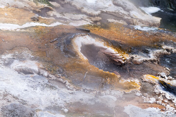 Waimangu Volcanic Valley, New Zealand