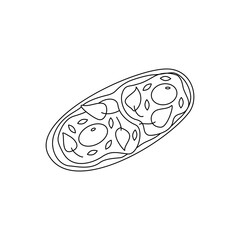 Sandwich with scrambled eggs, sesame seeds and herbs, curd cheese, breakfast or snack. Black and white doodle illustration vector
