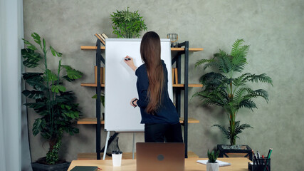 Distance business woman coach trainer writes on whiteboard teaches students employees company remote online webcam video conference call chat laptop computer in home office, virtual education webinar