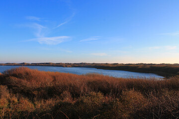 Juist, East Frisian Islands / Insel Juist in Ostfriesland, Dünenlandschaft in Lee beim Hammersee