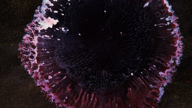 Explosion. A blooming flower. Fluid art. The expansion effect. The drop flies apart. Very Nice Abstract Color Design Colorful Swirling Texture Background. Transition. 4k. 25 frames per second.