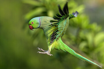 Land with your eyes open...