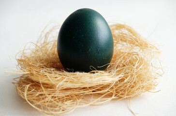 Dark green Easter dyed egg on coconut fiber on a white background close up