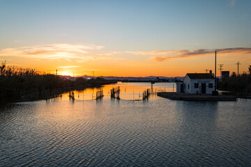 Fototapeta premium Paseando por los alrrededores de la Albufera de Valencia (España)