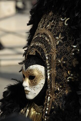 Obraz na płótnie Canvas Venice carnival