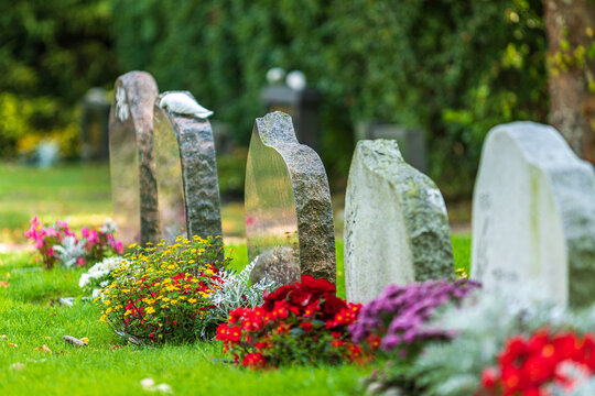 Row of tombstones decorated with colorful flowers
