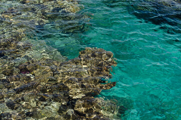 Obraz na płótnie Canvas Rocks are seen at the bottom of the Red Sea in clear turquoise sea water near Eilat