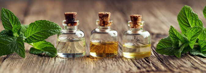 Panoramic header with three bottles of essential oil and fresh peppermint twigs