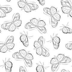 Butterfly beautiful insects seamless pattern. Wings flight motion. Detailed black line drawing on white background.