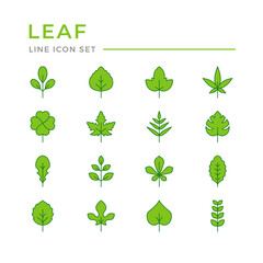 Set color line icons of leaf