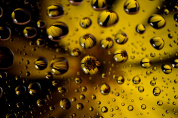 Rain drops on window with flower in background