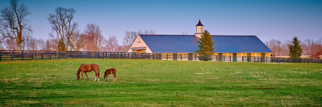 A mare and foal grazing on early spring grass with horse barn in the background.
