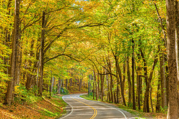 Obraz premium Smoky Mountain Road In Autumn REVISED