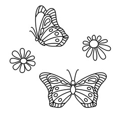 Butterflies outline silhouettes on a white background with daisies