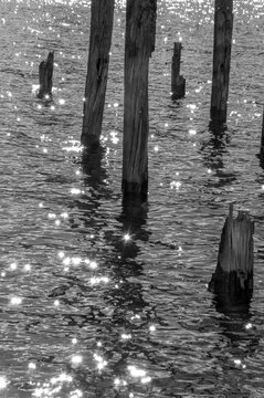 muelle roto en blanco y negro