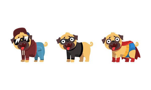 Funny Pug Dog in Colorful Costumes Vector Set