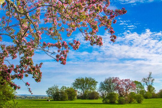 Springtime On The Plains Of Abraham In Quebec