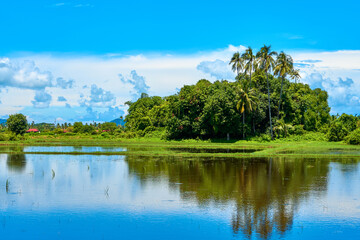 Tropical landscape. Mountains, palms and blue sky. Pure nature. Lake with mirror reflections
