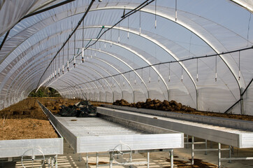 Horticultural Polytunnel on a sunny day