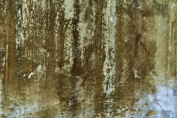 Concrete wall texture with green mold stains