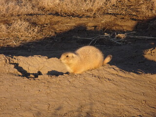 Badlands National Park, Dakota Del Sur, USA
