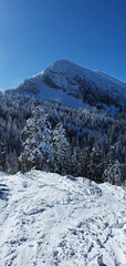 Ski de Randonnée dans le Vercors à Villard De Lans