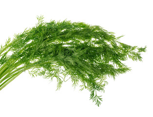 Bunch of green dill, isolated on white background
