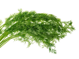 Bunch of green dill, isolated on white background