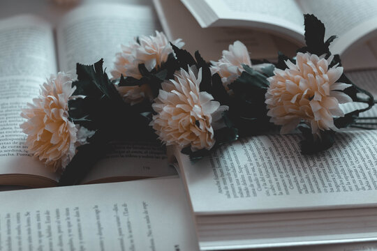 Lovely, Lonely And Melancolic Place. Flowers And Books.