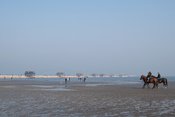 horses galloping by the sea