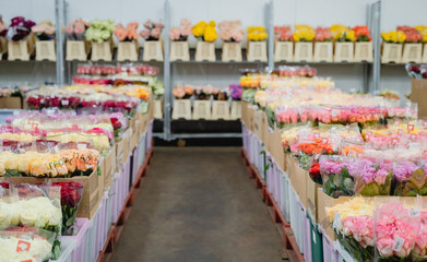 Wholesale floristic base, shop with flowers for Valentine's Day on February 14, International...
