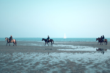 horses galloping by the sea