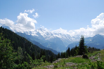 Die Bergwelt der Schweiz