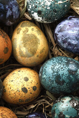 Colorful easter quail eggs on the hay