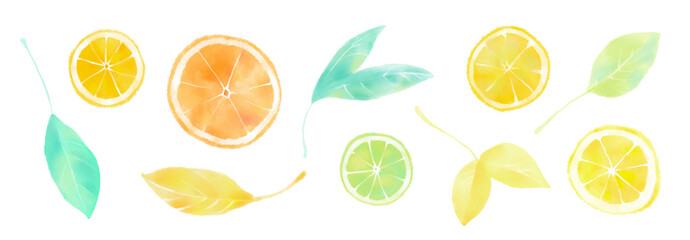 Hand drawn watercolor citrus fruit and leaf set, pastel illustration of lemon, lime and orange slices. Aquarelle sketch of eco summer food collection, isolated on white background