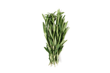 bunch of fresh green rosemary isolated on white. top view