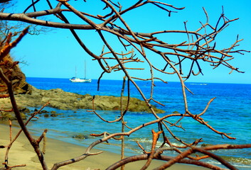 Costa Rica Pacific Sea life