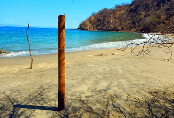 Costa Rica Pacific Sea life