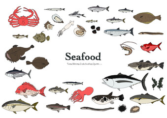 魚のイラストセット-手描き