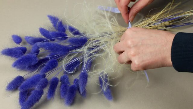 Making a dried flower bouquet of Lagurus Grass in lavender color. Bunch of dried Bunny Tails. Flower arranging
