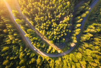 Aerial view of mountain road in beautiful forest at sunset in summer. Top view from drone of winding road in woods. Colorful landscape with curved roadway, trees with green leaves in spring. Travel	 - Powered by Adobe