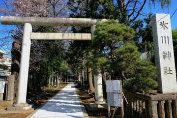 板橋区双葉町　氷川神社