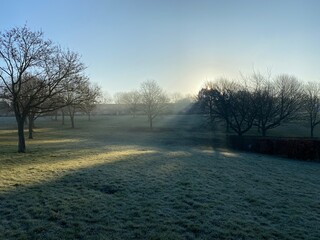 Sunset in a foggy day orange tinge fog. Beautiful misty sunrise landscape. Foggy morning with trees in English town