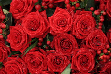 Red bridal roses with drops
