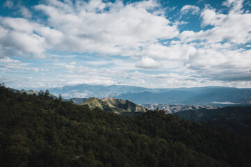 Trees and landscapes in Guatemala