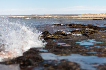 Waves
