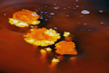Paysages de Dallol, désert de Danakil, Éthiopie